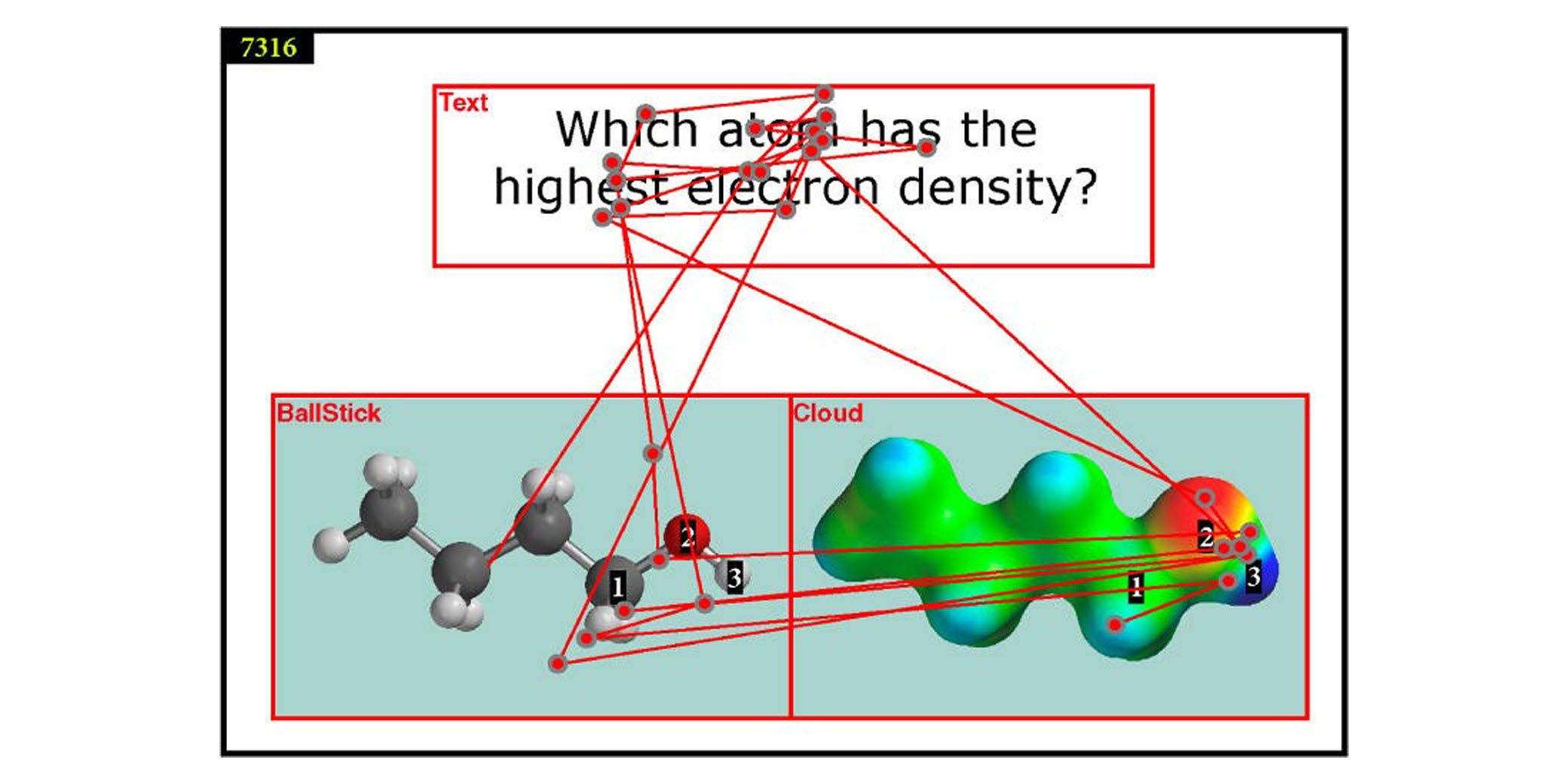 Molecular representation with gaze data 