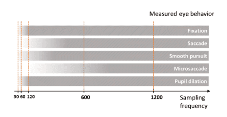 Correlation between eye movements and sampling rate