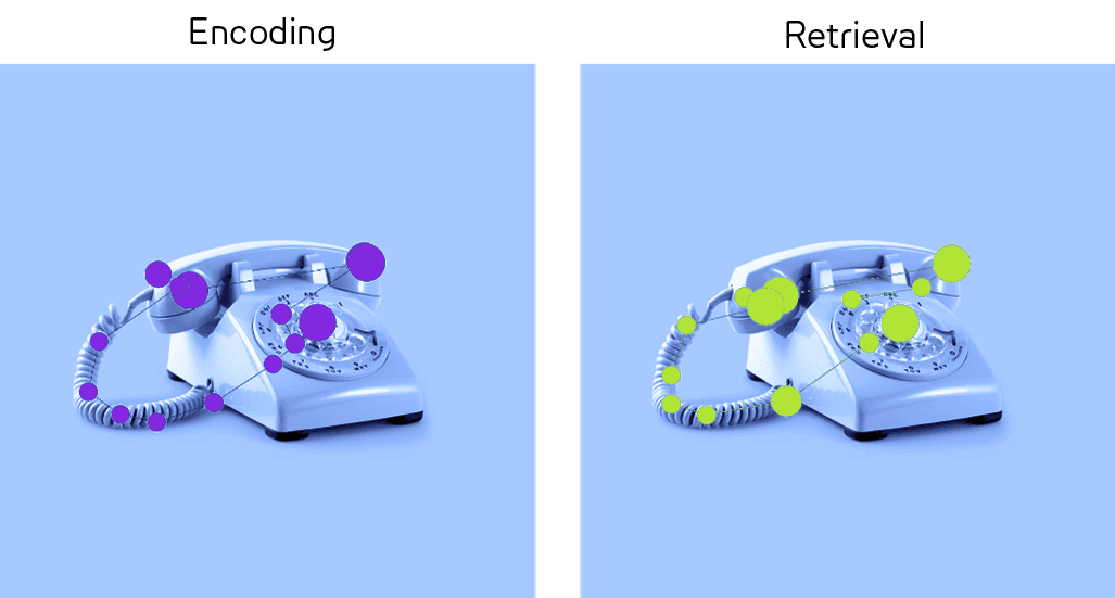 Encoding - Retrieval - Cognitive Psychology