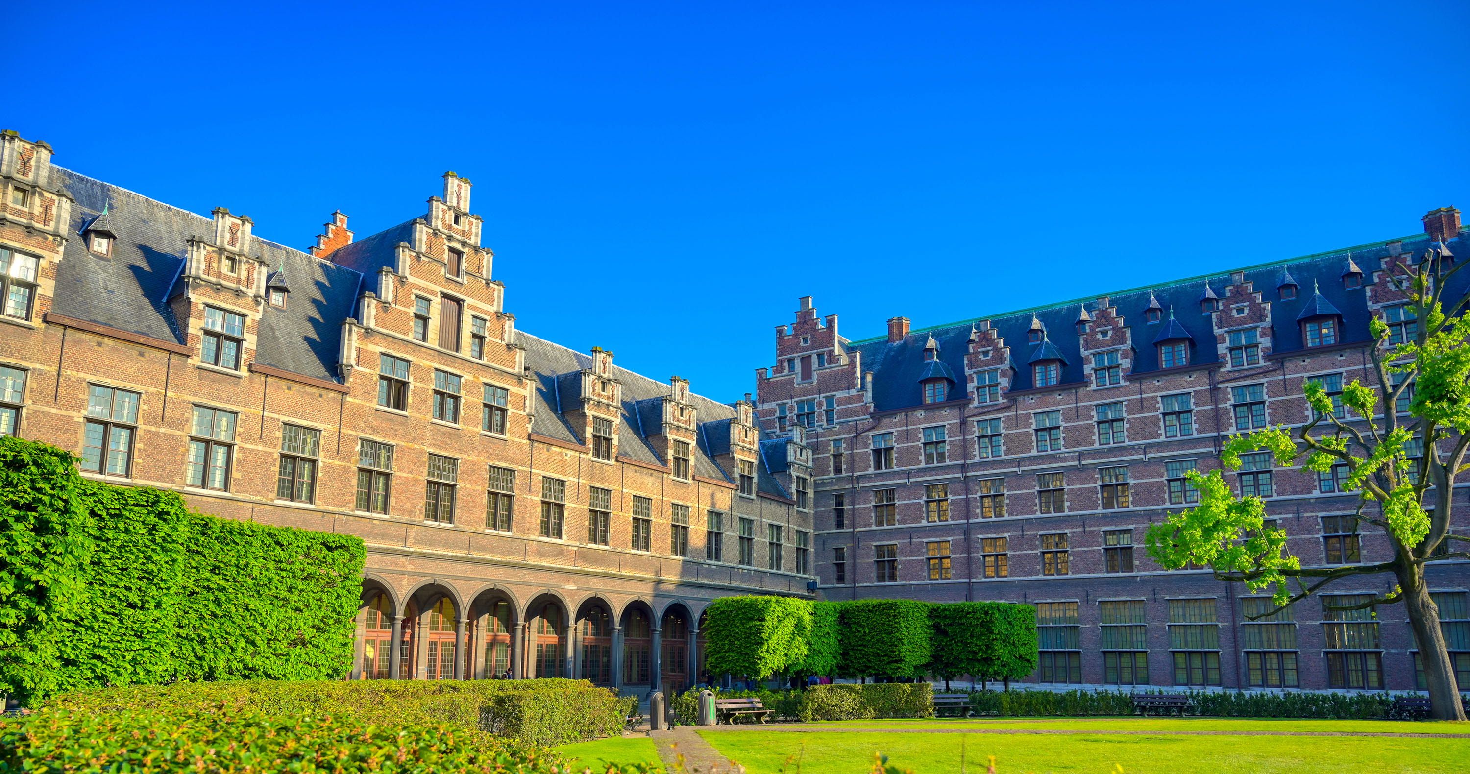 The University of Antwerp