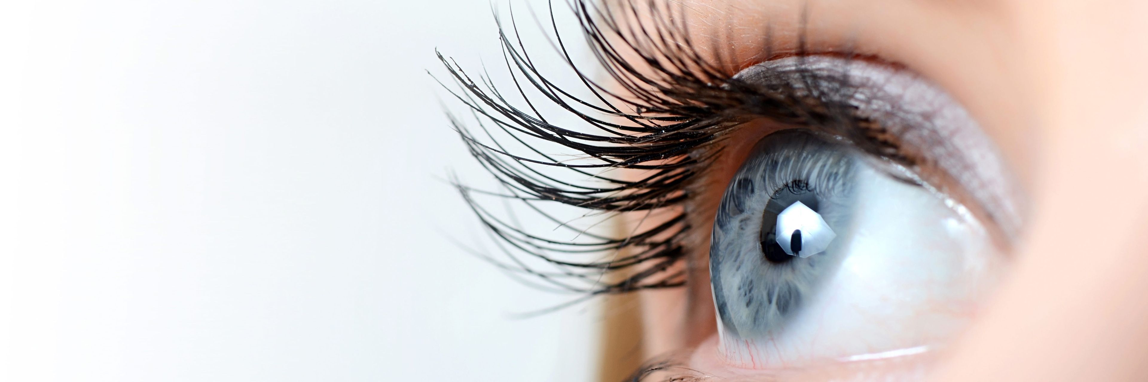 Close up of the human eye