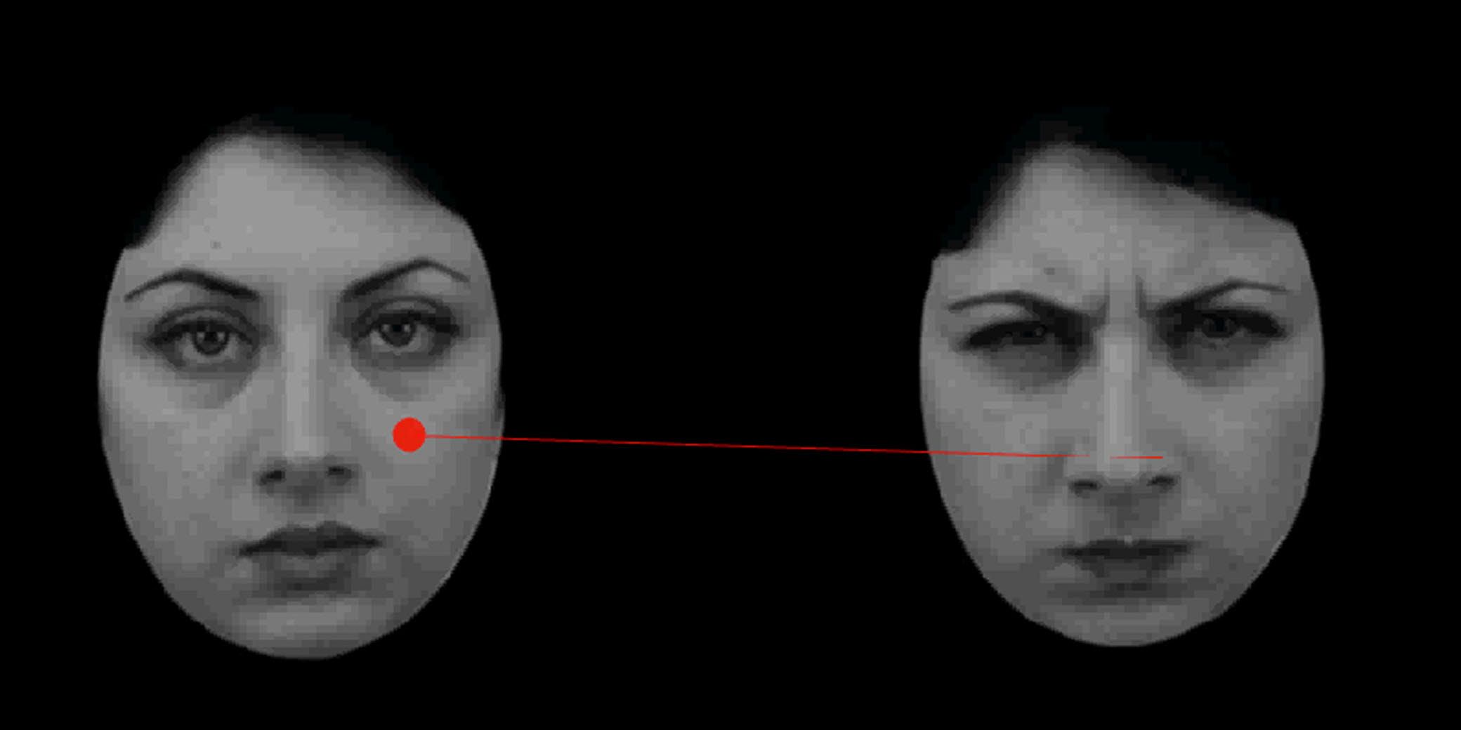 Example of stimuli involving faces, displayed to test subjects