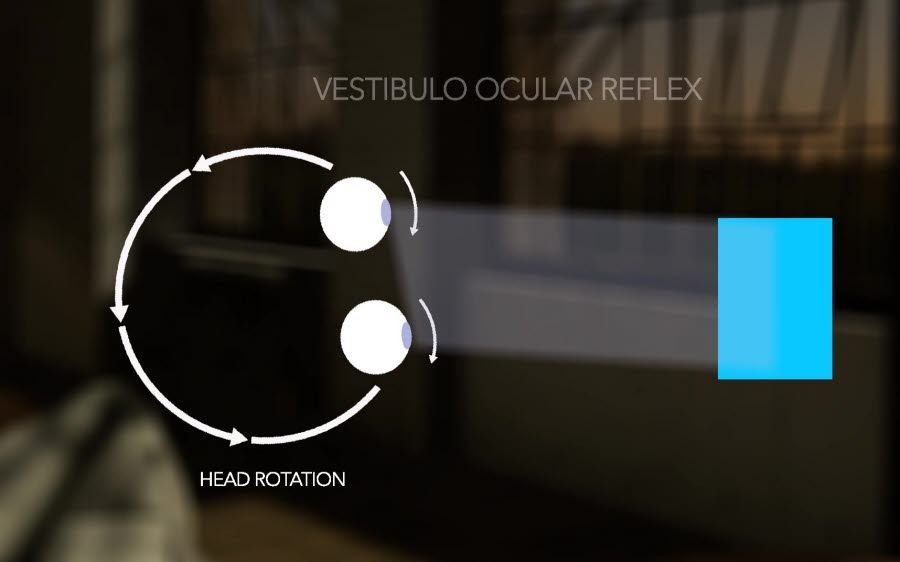 Eye movements Vestibulo