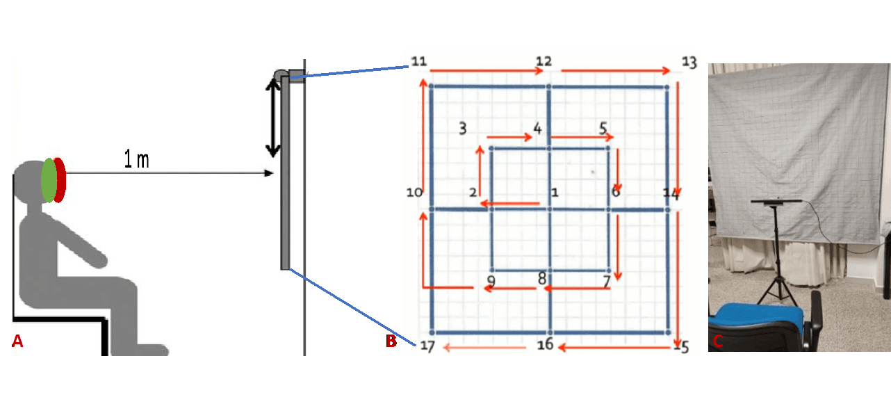 University of Zaragoza eye tracking study