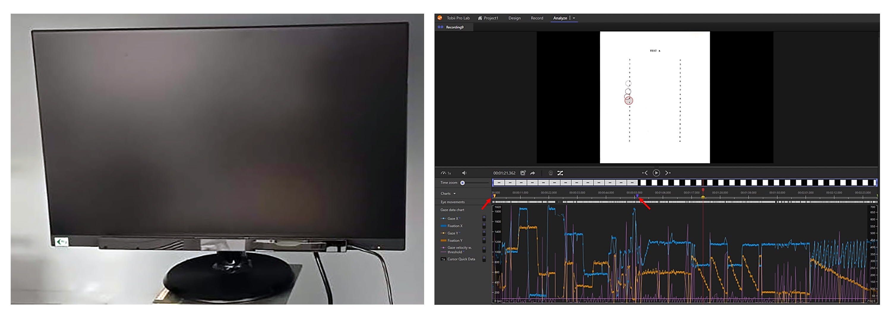 University of Zaragoza eye tracking study