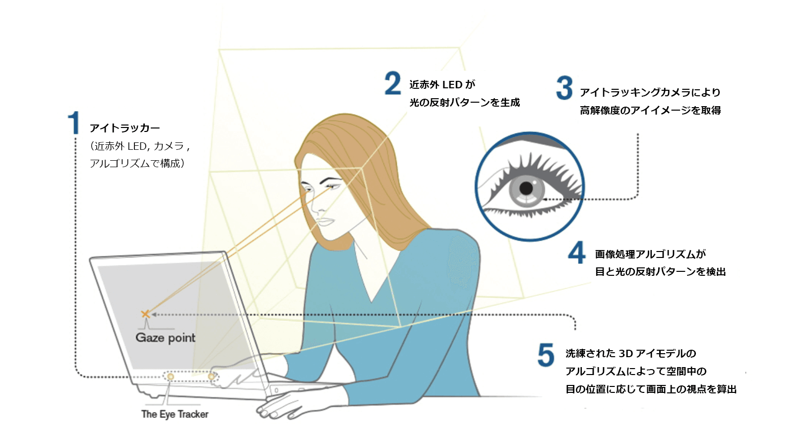 Explanation of how the screen based eye tracker works